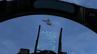 Dogfighting online in DCS World (Su-27 and F-15 )