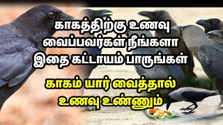 காகத்திற்கு உணவு வைப்பவர்கள் நீங்களா தவறாமல் பாருங்கள்!! யார் வைத்தால் காகம் உணவு உண்ணும்| Crow feed