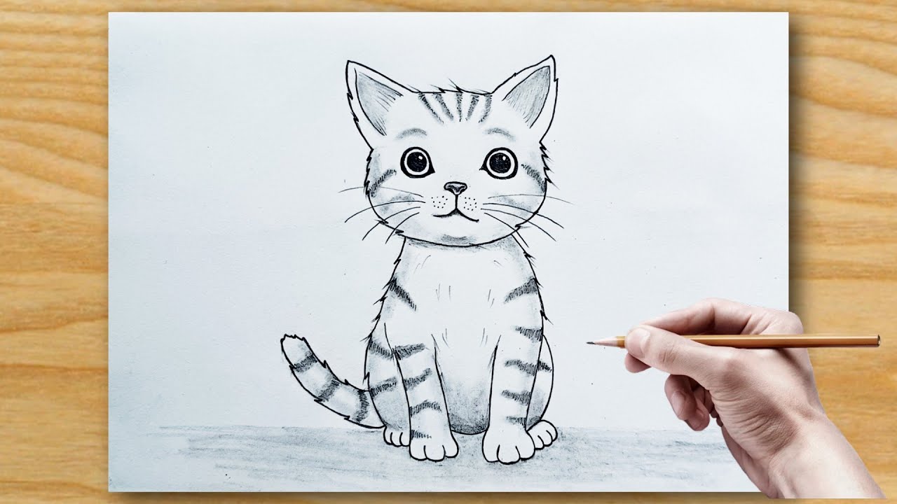 How To Draw Cat Cat Drawing Tutorial Cat Drawing Step By Step
