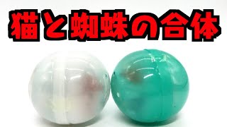 猫と蜘蛛が合体！1回300円全6種「クモネコ フィギュアマスコット」ガチャガチャ 開封レビュー【おもちゃ】