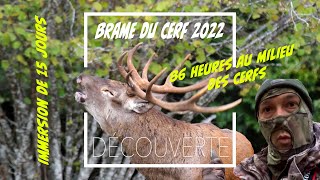 BRAME DU CERF 2022 - LE FILM | 86 heures en immersion au milieu des cerfs