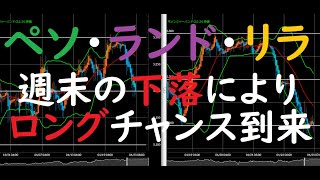 【メキシコペソ・南アフリカランド・トルコリラ】FX今後の見通し　1/25（月）以降