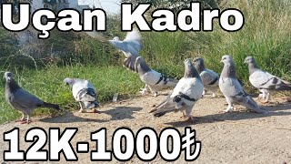 Gittiler. Uçan Kadro.