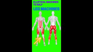 Elliptical Machines to Help You Get in Shape Shorts #shorts
