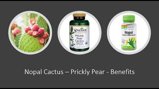 Nopal Cactus -  Benefits, Uses \u0026 Side Effects