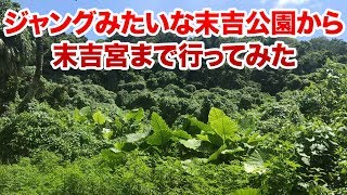 まるでジャングルみたいな末吉公園の奥地を末吉宮まで行ってみた♪