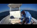 high speed vertical jigging for monster ajs and 1 mahi south florida 11 27 17