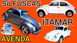 SÓ FUSCAS ITAMAR ANO 1996 IMPECÁVEIS A VENDA