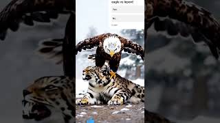 eagle vs leopard #shorts #trending #animals