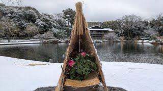 ちょっとだけ雪景色 徳川園の冬ぼたんを「ぶらヒロシ」