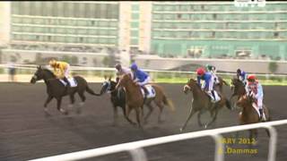 Godolphin Mile 2012 G2   African Story