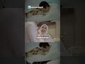 Detik-Detik Syahrini Melahirkan, Reino Barack Lantun Azan dan Lagu Ultah Menggema di Kamar Operasi.