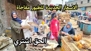 انخفاض تاريخي 😱 اسعار الطيور اليوم بعد شم النسيم فرصة اشتري فراخ وبط ووز للتربية قبل ماتغلى