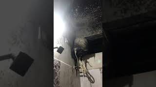 V Guard Geyser blast#viral#youtubeshorts #sahasratv