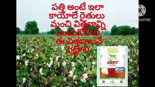 Rashi Swift cotton seeds