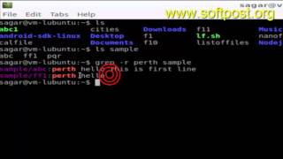 Search for text or pattern in entire directory in Bash