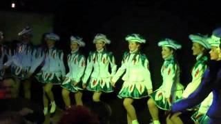 Altenbeken, Karneval im Bollerborn 2015, Sälzer Tanzgarde, Gardetanz