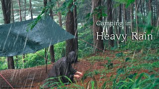 [4K] Camping in Heavy Rain, 우중캠핑이 폭우캠핑이 되버린날(feat. 새벽에찾아온정장입은낯선손님🐱, 캠핑용품, solo camping, Rainy Forest
