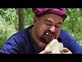 พิซซ่าในป่ายาง pizza in rubber tree forest