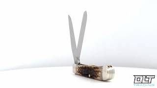 Case Trapper CV Amber Bone Pocket Knife - 360 Product View