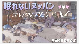 [SEVENTEEN/세븐틴] 🧸セブチの眠れないヌッパン！💭【少しだけ日本語字幕】