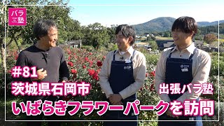 #81 【出張バラ塾】茨城県石岡市「いばらきフラワーパーク」を訪問