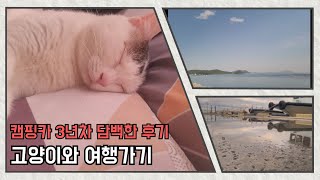 [CATPINGCAR LIFE] 4K 캠핑카 3년차 담백한 후기 / 고양이랑 함께하는 여행