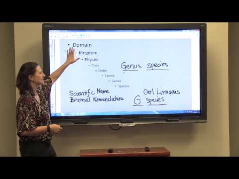 Classification and binomial nomenclature