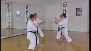 Kata Bunkai 2 - Jion