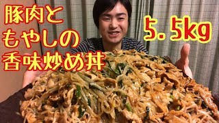 【大食い】【モッパン】総重量約5.5kg！豚肉ともやしの香味炒め丼！【カワザイル】