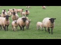 exmoor a journey through time full length 30 min version