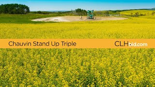 CLHbid.com - Chauvin Stand Up Triple