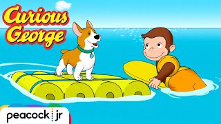 Day at the Dog Beach | CURIOUS GEORGE