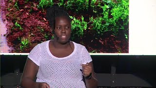 GMO Farming in Kenya | Tasha Wasonga | TEDxYouth@BrookhouseSchool