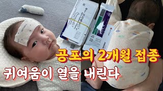 2개월 아기 브이로그, 아기 예방접종 주사 방법,부위/해열제 없이 접종열 떨어뜨리는 방법