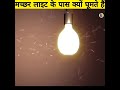 मच्छर हमेशा लाइट के पास क्यों घूमते हैं जानिए पूरा सच shorts in hindi youtubeshorts