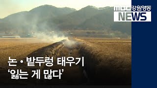 [뉴스리포트]논밭두렁 태우기 '잃는 게 많다'190312