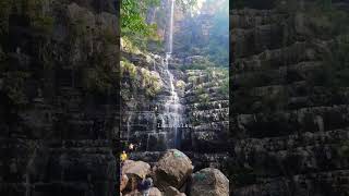 తలకోన జలపాతం శేషాచలం అడవులు🏞️ ||  thalakona waterfalls in sheshachalam forest ||