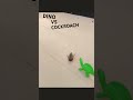 DINO VS COCKROACH #stopmotionanimation #dinosaur #cockroach