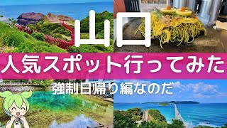 【山口　観光】実際に行ってみた♪山口県の人気スポット～日帰り編～