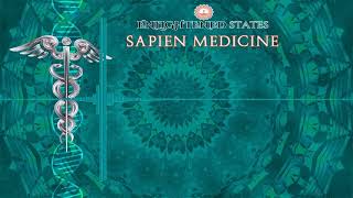 Stem Cell Targeted to kidneys, adrenals, bladder, urinary tract ver. 2.0 by Sapien Medicine