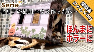 【つらら庵猫動画】セリア 猫用ホラーハウス作ってみたら本当にホラーやった ペット動画 にゃんこVlog