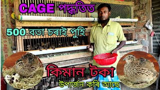 Nagaon Quel bird Farm। Assam Quel bird Farm। Bota sorai Farm Assam । Jumboo Quel bird Farm। Quel