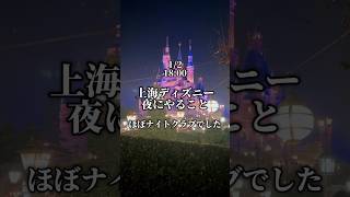 ディズニーの夜がクラブ化しててびっくり！日本じゃ考えられない！#ディズニー #パレード #海外旅行