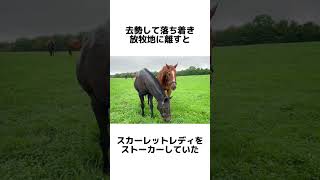 【お馬の雑学】アドマイヤジャパン