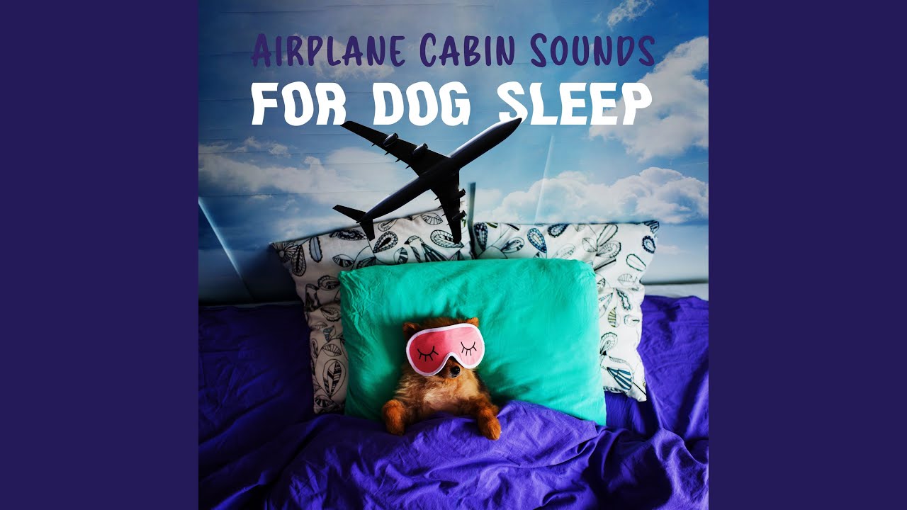 Asmr Airplane Youtube