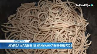 Ауылда  малдың іш майынан сабын өндіруде