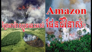 Amazon Forest On Fire - តើនឹងមានអ្វីកើតឡើងបើព្រៃអាម៉ាហ្សូនឆេះអស់