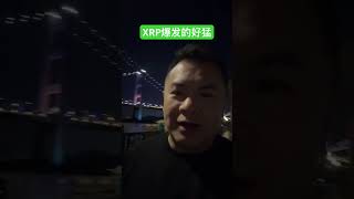 XRP你们有在车上吗 #trading #crypto #交易 #btc #比特币 #xrp