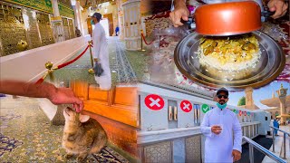 New MADINA Tour, Ziyarah & Dinner With Local Arab food | Masjid Nabawi | Food in Madina Saudi Arabia